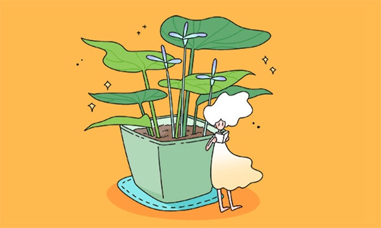 初中毕业上技校需要什么条件？