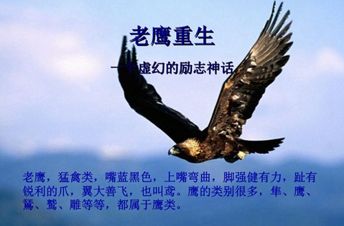 绵阳2023年读建筑施工与管理专业哪所学校好