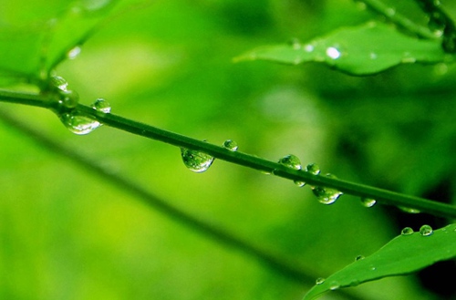 内江2023年哪个中专学校的计算机网络技术专业好