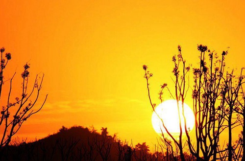 2023年济南工程造价专业技工学校推荐 哪所学校好