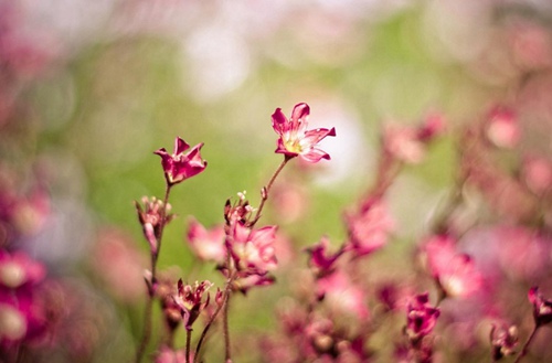 湛江2023年读幼儿教育专业哪所中专学校好