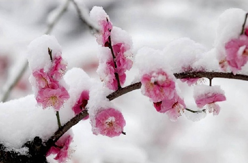 2023年衡阳商务英语专业中专学校哪所好