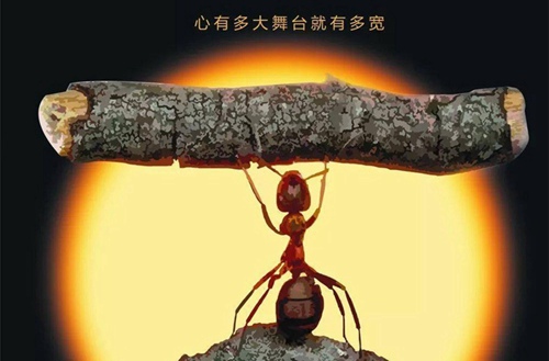 中山2023年初中生读LED应用技术专业有哪些学校