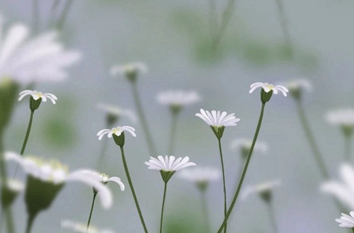 东营2023年读建筑工程施工专业哪所学校好