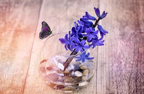 东莞2023年有哪所学校有服装设计与工艺专业