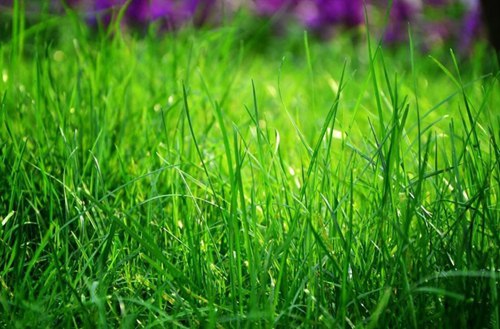 河南2023年初中生读旅游艺术专业有哪些学校