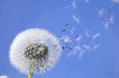 张家界2023年初中生读航空服务专业有哪些学校