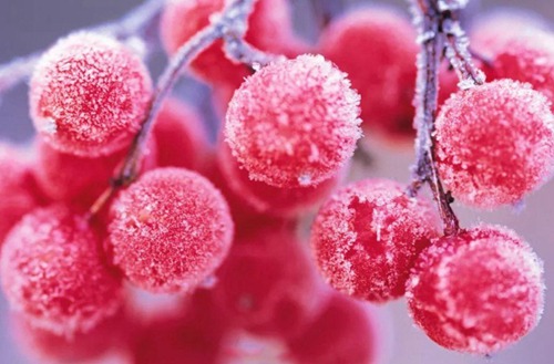 东营2023年初中生读机电技术应用专业有哪些学校