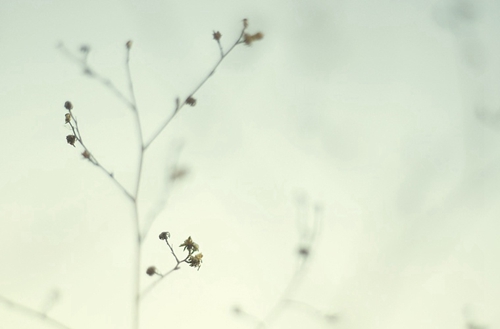 惠州2023年读电子商务专业哪所中专学校好