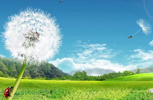 济南2023年初中生读美术设计与制作专业哪所学校好