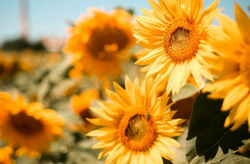 唐山2023年读计算机应用专业哪所职教中心好