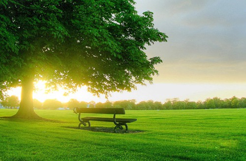 石家庄2023年读铁道运输管理专业哪所中专学校好