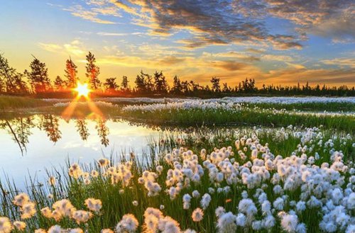 东莞2023年初中生读计算机应用专业有哪些学校