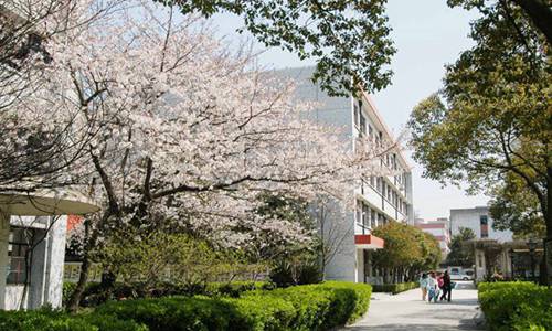 南通2023年初中生读电子技术应用(电子与信息技术)专业有哪些学校