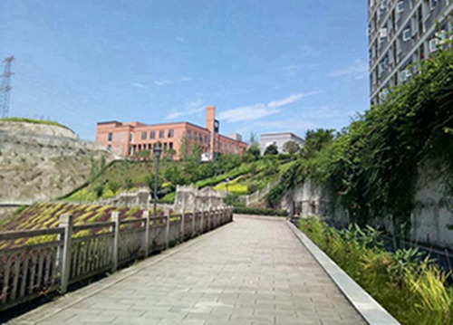济南2023年有哪所学校有药物制剂技术专业