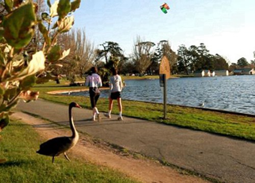 昆明2023年读汽车电子技术应用专业哪所学校好