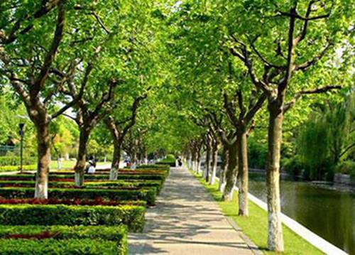 2023年抚州航空运输服务专业职业中学哪所好