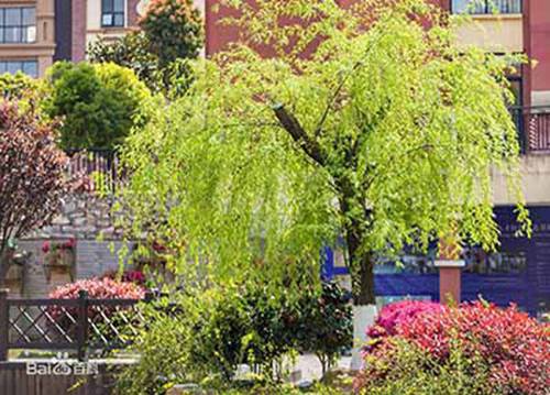 淮安2023年有哪所学校有计算机网络技术专业