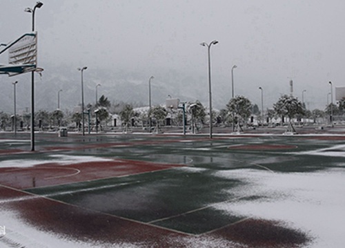 湛江2023年读家政服务专业哪所学校好