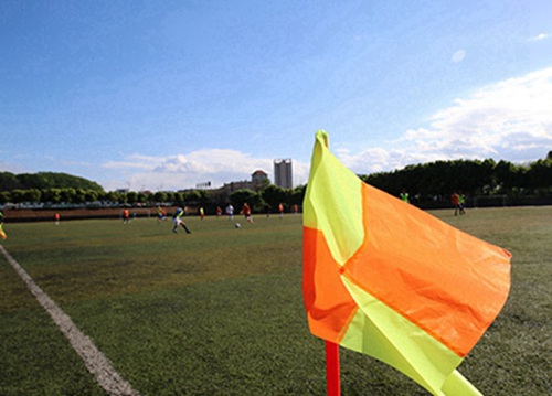 湛江2023年读农村经济综合管理专业哪所学校好