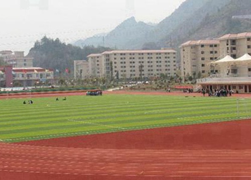 中山2023年有哪所学校有动漫专业