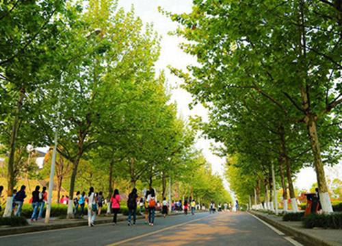 兰州2023年有哪所学校有焊接加工专业