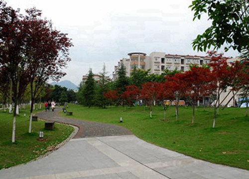 成都2023年读会计专业哪所学校好