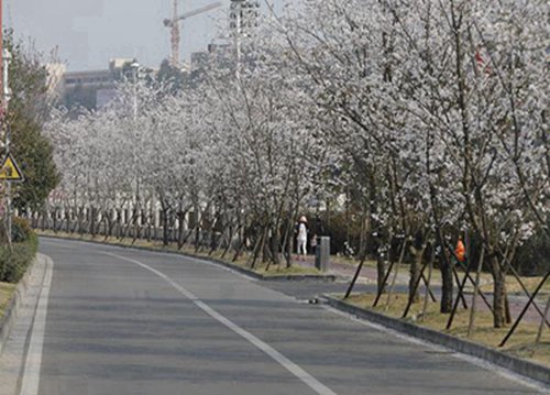 玉林2023年开设电子电器应用与维修专业的职业学校有哪些