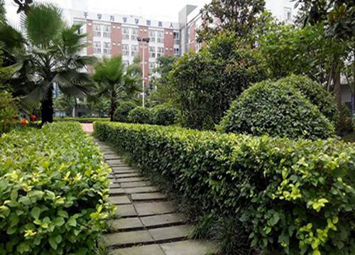 2023年读市场营销专业选择济南哪所职业学校比较好