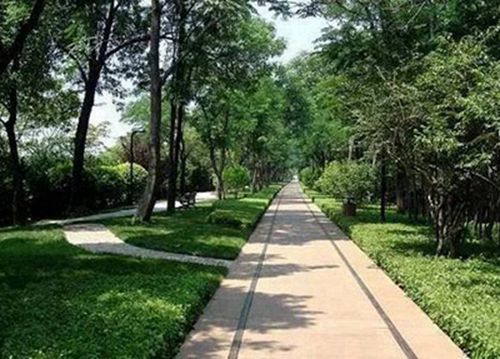 达州2023年初中生读汽车运用与维修专业有哪些学校
