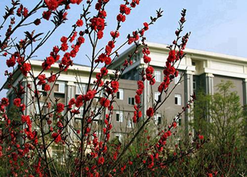 2023年农业机械使用与维护专业乐山哪个职业学校好